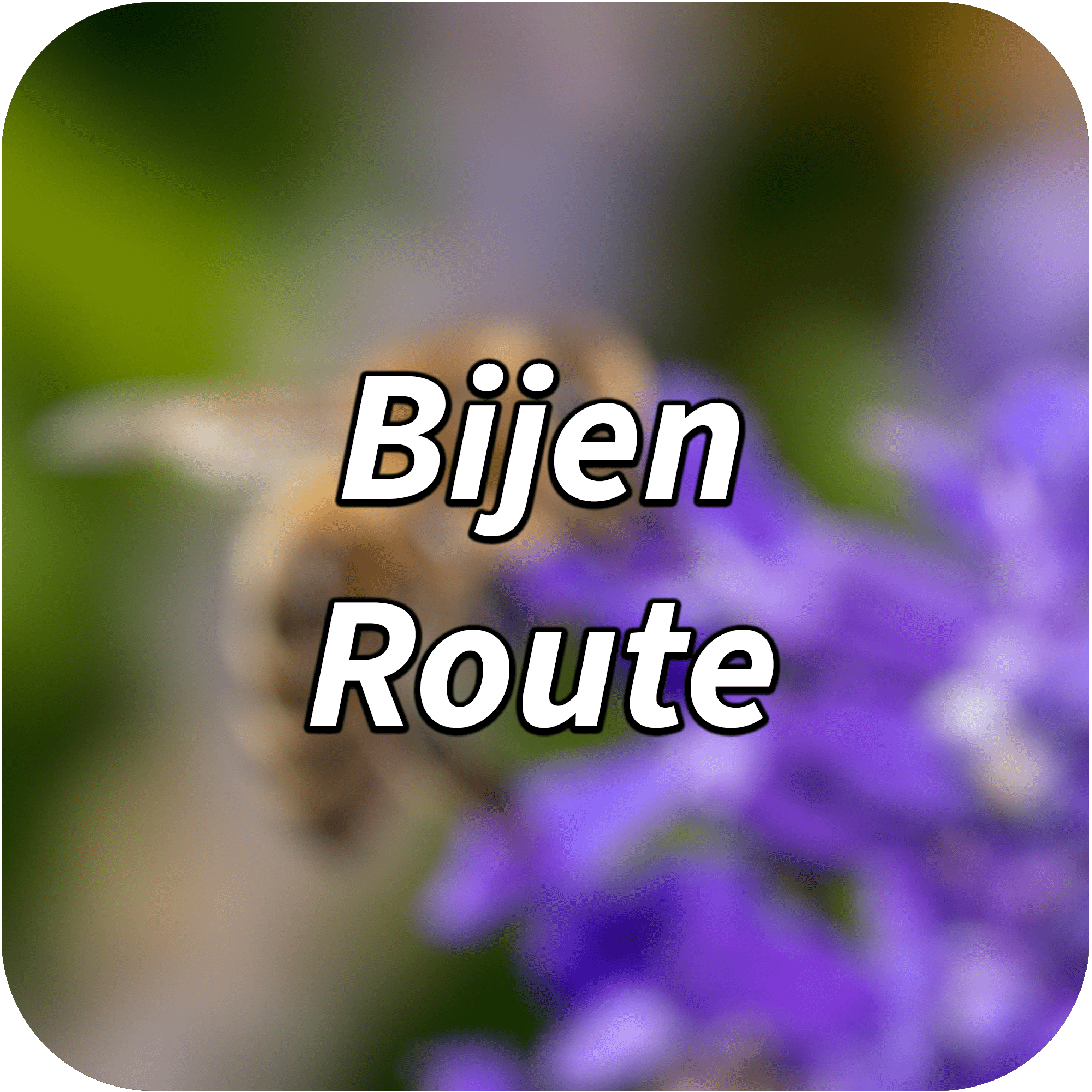 bijen-route-min